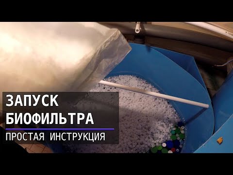 Видео: Запуск биофильтра УЗВ - простая инструкция