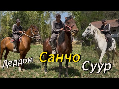 Видео: Надирдин Аттары Каба Айылында 