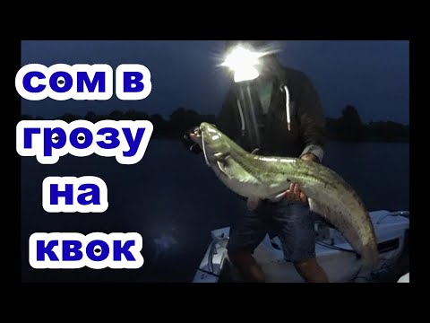 Видео: Рыбалка на сома в грозу.с квоком  на сома . квок , лодка , черви. 2023