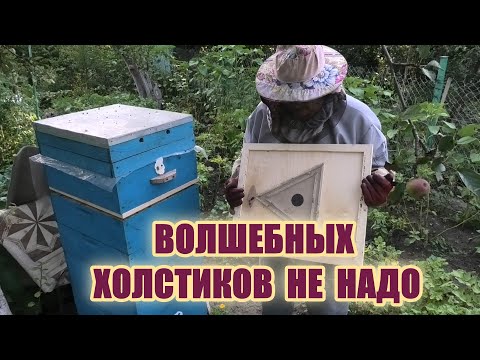 Видео: Пчелоудалитель  Квебек  мне  понравился.