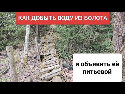 Видео: Добываем чистую воду из болота. Абиссинская скважина в родниковый горизонт