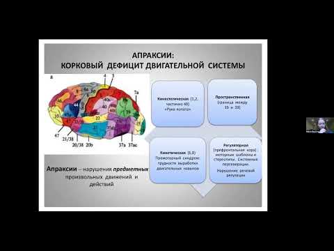 Видео: Нарушения произвольных движений и действий. Апраксии