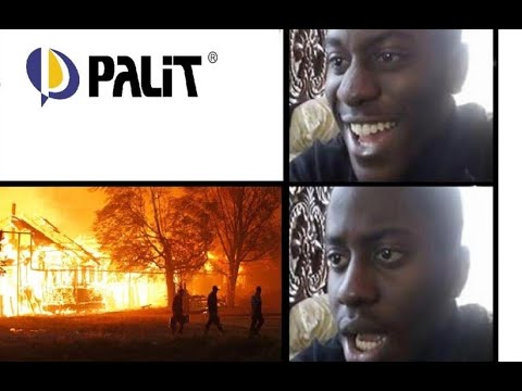 Видео: Palit что было раньше и что сейчас