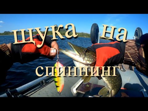 Видео: Клев щуки на воблеры и блесны из Китая. Щука на спиннинг в середине сентября 2021