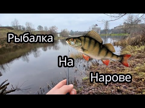 Видео: ЛОВЛЯ НА УЛЬТРАЛАЙТ И ОТДЫХ НА НАРОВЕ👍