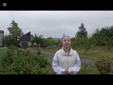 Видео: Вкусный успех | Сады мира и добра 