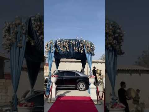 Видео: 25 октября 2025 г.