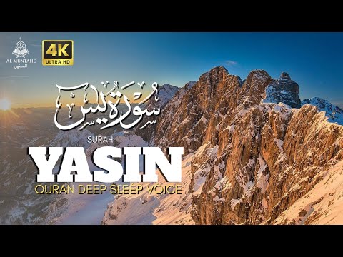 Видео: Руҳий Ором ва Шифо | Қуръон Тиловатлари 10 Дақиқа |Al Muntahe #surah #surahyasiin