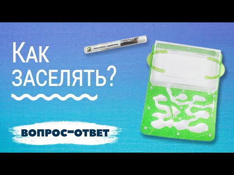 Видео: Заселение муравьев в муравьиную ферму. Самая подробная инструкция!