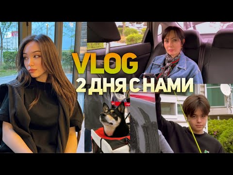 Видео: VLOG: Самый повседневный влог в вашей жизни 🫠