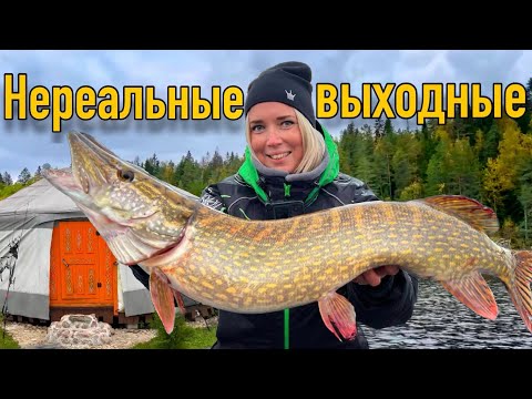 Видео: ЛОВИМ ТРОФЕЙНУЮ РЫБУ на Вуоксе. Поклевки щуки, красивые пейзажи и радостные эмоции в этом видео.