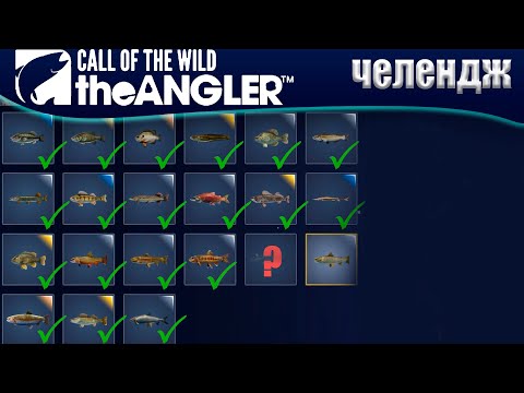 Видео: CotW: the Angler - Выловил все 20 видов рыб в одном видео "Голден Ридж" [Челендж]