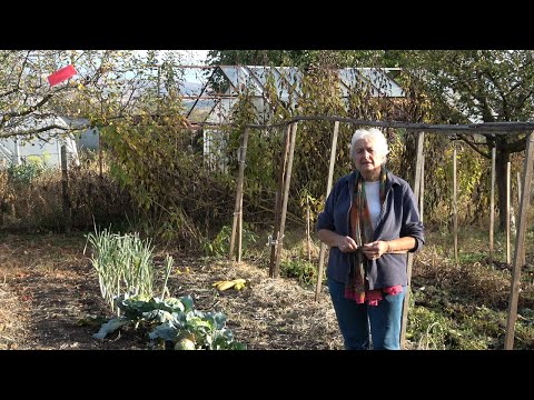 Видео: Епизод 11