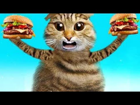 Видео: ОЧЕНЬ КРУТОЙ УРОК ЧЕЛЛЕНДЖ ДЛЯ ЖЕЛЕЙНОГО МЕДВЕДЯ И КОШКИ МИЛКИ