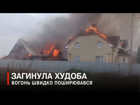 Видео: Полум’я перекинулося на житловий будинок: у селі Голишів масштабна пожежа