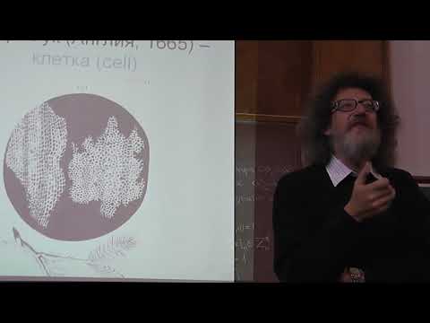 Видео: 1 Всё живое — из клеток