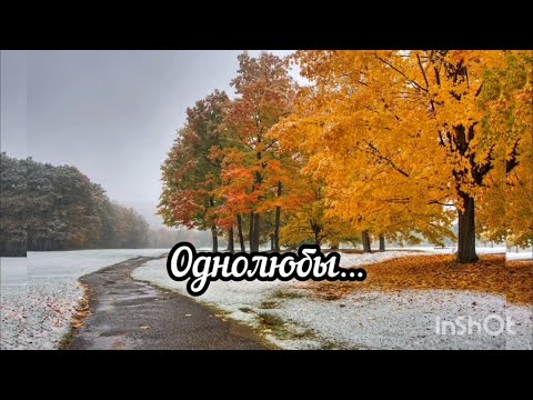 Видео: Однолюбы...