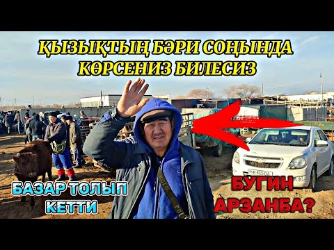 Видео: 27-Ноябр Қараөзек мал базары бахалары кандай болды? Жудә қызық болды тез хәмме корейик!