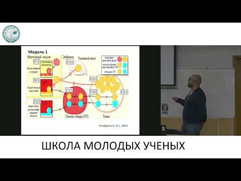 Видео: Современное представление о моноцитарно-макрофагальной системе млекопитающих - Ельчанинов Андрей