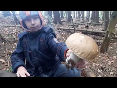 Видео: Вишків відвідали, подробиці у відео.