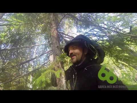 Видео: Поиски тайного скита отца Сергия