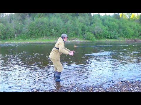 Видео: БРАКОНЬЕРСКАЯ СНАСТЬ КОРАБЛИК!!! ПОЙМАЛИ 20 ХАРИУСОВ. РЕСПУБЛИКА КОМИ. ТАЁЖНАЯ РЕКА. ТАЙГА КОМИ.
