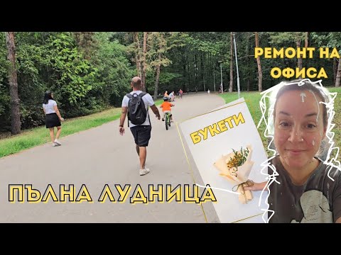 Видео: Пълна лудница!!! Ремонт на офиса, сладко от сини сливи и валящи поръчки 😝