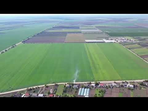 Видео: Малаешты - дом родной // Валерий Пурчел