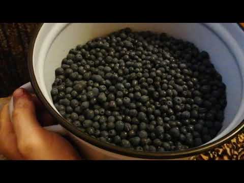 Видео: Варим варенье из Голубики!