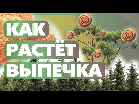 Видео: САМЫЙ ВАЖНЫЙ ПРОЦЕСС В ПЕКАРНЕ. Про технологический процесс окончательной расстойки. Денис Машков.