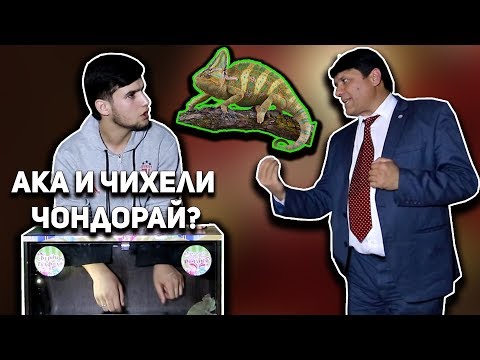 Видео: Фавик дар барномаи МАЙДОНИ ХУНАР / Ай барнома кахр кад!