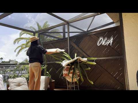 Видео: #32 Сделайте так, чтобы ваш дом отражал ваш образ жизни | Создание комфортного дома