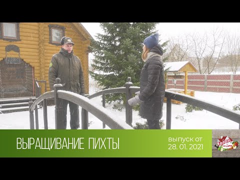 Видео: Удачи на даче (28.01.2021)