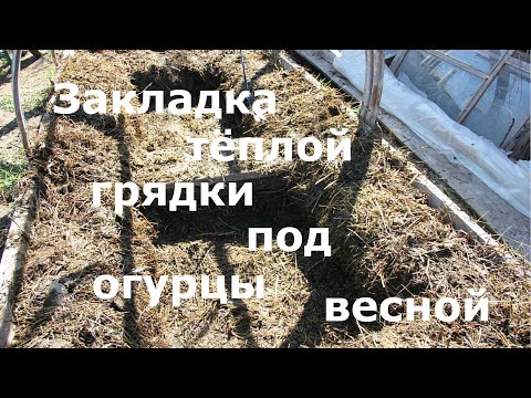 Видео: Правильная закладка тёплой грядки под огурцы