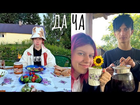 Видео: КАК МЫ ОПОЗОРИЛИСЬ В ДЕРЕВНЕ