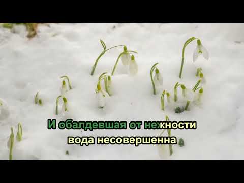 Видео: Tritia - 31 я весна (караоке)