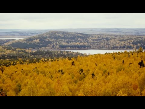 Видео: Волчихинское водохранилище. Четырнадцатая серия.