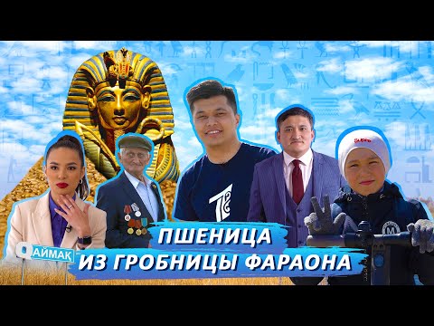 Видео: Qаймақ: село Енбек