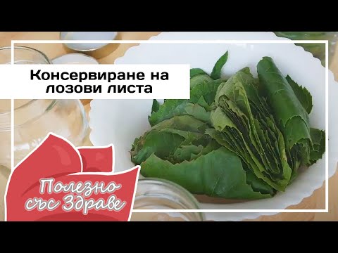 Видео: Удивительный способ консервирования и приготовления виноградных листьев