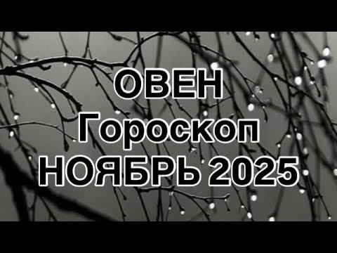 Видео: ОВЕН  - ГОРОСКОП  НА НОЯБРЬ  2025  |УДАЧА  |  ЛЮБОВЬ | РАБОТА | ФИНАНСЫ | ОТ NATALLIA MARKOWSKA