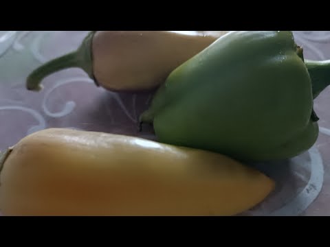 Видео: Таня Ворона в прямому ефірі