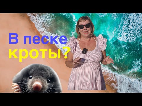 Видео: Плюсы и минусы отдыха в Турции осенью. Стоит ли ехать? #аланья