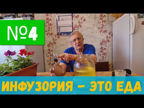 Видео: #4 Инфузории. Разведение  / Аквариумистика с Геннадием Посейдонычем