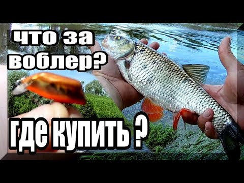 Видео: Как поймать "хитрых" голавлей? Подбираем воблер, который ему понравится.
