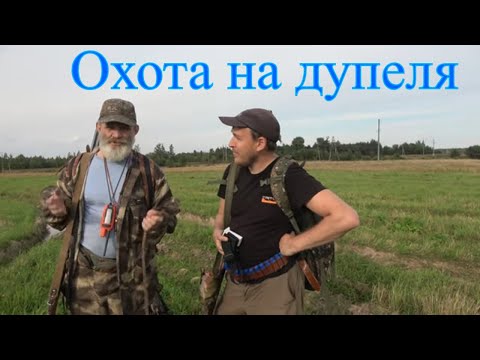 Видео: Эпаньоль Бретон #2 Охота на дупеля
