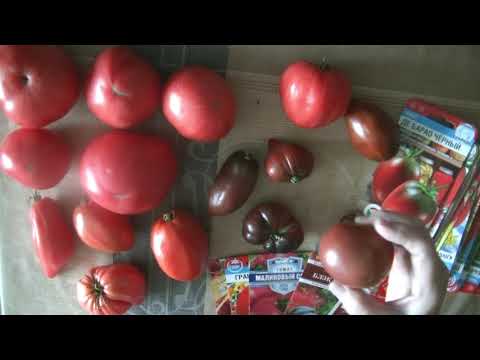 Видео: Наступает ноябрь