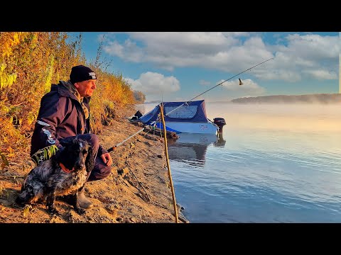 Видео: РЫБАЛКА С НОЧЁВКОЙ в лодке. Рвём ЛОПАТ на закидушки. Бешеный клёв на донки!