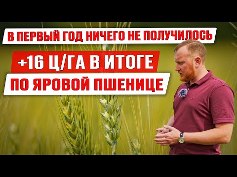 Видео: Как получить прибавку урожайности | Листовые подкормки и внесение КАС ликвилайзером | Опыты фермера