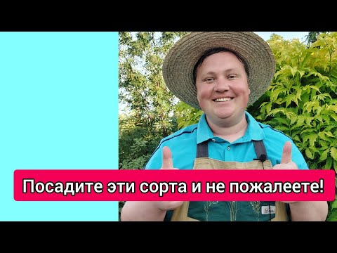Видео: Высадил арбузы и дыни/Эти сорта самые классные!🤩👍🍉🍈