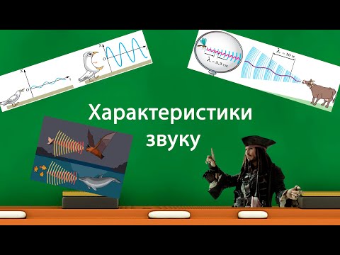 Видео: Характеристики звуку (9 клас)